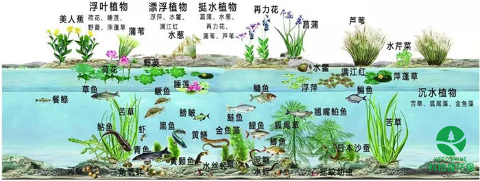 亚洲欧洲日产国码久在线