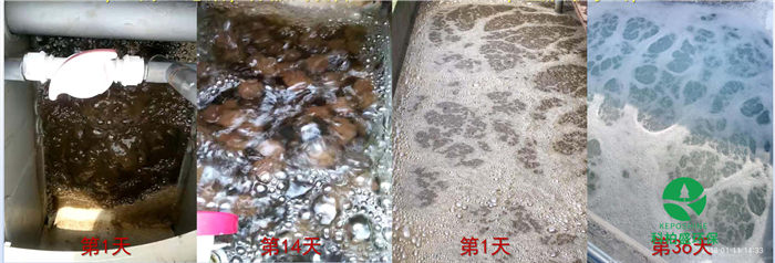 亚洲欧洲日产国码久在线