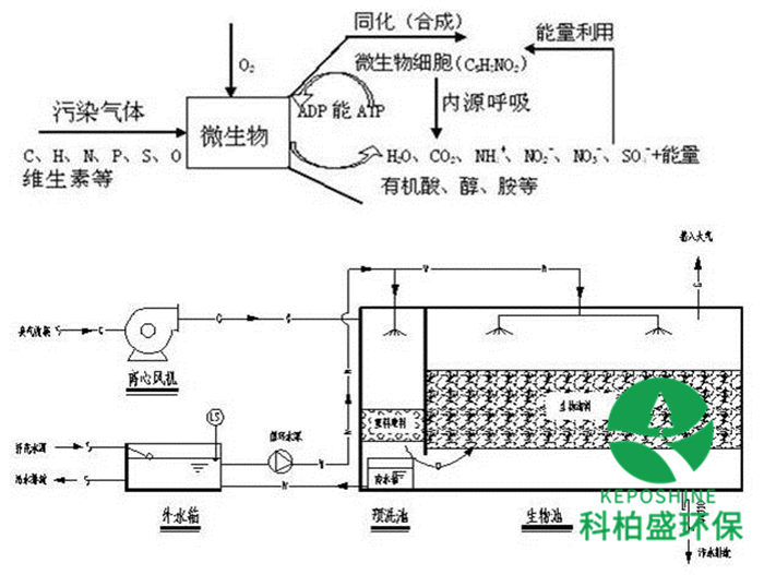 亚洲欧洲日产国码久在线